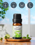Set, 3 10 ML Set- Floral Essential Oil Premium Pure & Natural Aromatherapy Essential Oils for Diffuser for Home, *
