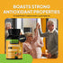Turmeric Curcumin Supplement - 240 Capsules, Non-GMO with BioPerine & Ginger for Joint Support