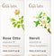 Rose Essential Oils for Skin Use & Neroli Essential Oil for Diffuser
