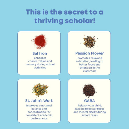 JoySpring Saffron Gummies for Kids - Sugar Free Saffron Extract with GABA for Mood Support