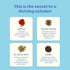 JoySpring Saffron Gummies for Kids - Sugar Free Saffron Extract with GABA for Mood Support