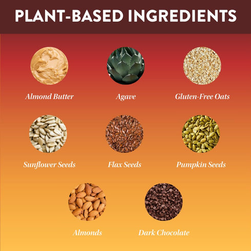 Protein Puck Plant Based Bars | 13g Vegan Protein | Gluten Free, Non-Dairy, Kosher Certified, 16 Count
