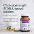 New Chapter Probiotic All-Flora - 60 ct (2 Month Supply) for Complete Gut Health & Advanced Digestion with Prebiotics +