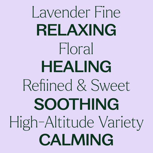 Plant Therapy Lavender Fine Essential Oil, 10 mL (1/3 oz), 100% Pure, Therapeutic Grade