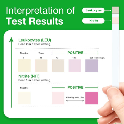Easy@Home UTI Test Strips: Accurate Urinary Tract Test Kit for Women & Men, Quick Results, OTC Use (5 Pack)