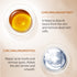 NP 2PCS Turmeric Face Cream, Anti-Aging Moisturizer with Organic Ingredients for Dull Dry Skin