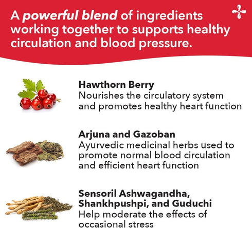 LifeSeasons B/P Stabili-T Blood Pressure Support Vitamin Supplement for Healthy Heart, 120 Capsules