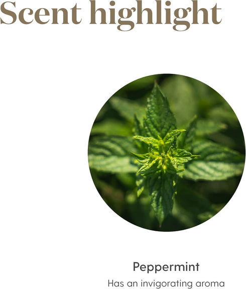 Young Living Peppermint Essential Oil, 5ml, Invigorating Mint Aroma, Muscle Relaxation, Aromatherapy