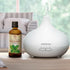 Peppermint Essential Oil 3.4 Fl Oz - 100% Pure & Natural Mint Oil for Home Fragrance, Aromatherapy, Body Care
