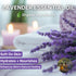 Hypoallergenic Kids Soap Bar 3-Pack, Organic Lavender Oil Body Wash for Gentle Children’s Bath Time