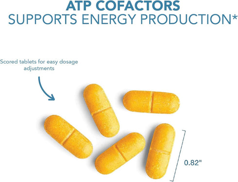 ATP Cofactors Supplement - Vitamin B Complex for Men & Women, High Potency Tablets with Vitamin B2, B3, 90 Count
