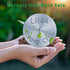 L1154f Batteries Ag13 Lr44 L1154 Sr44 357 303 A76 L1154h Button Battery 1.5V Alkaline Coin Cell 10 Pack
