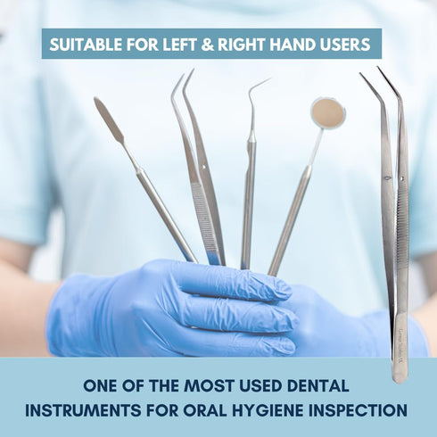 Professional Dental Tartar Scraper Tool, Oral Picks for Removing Calculus, Plaque Remover, Stainless Steel