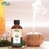 Angelica Oil - 30ml/1.01fl oz, Pure & Natural Essential Oil for Skincare, Massage, and Diffusers
