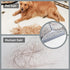 PLLITH 4 1 Upgraded Magic Broom, in Sweeper Pet Hair Remover with a Mini Squeegee, Easily Cleans The Floor Surface