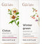 Cistus & Wintergreen Essential Oil Set - Aromatherapy Grade Essential Oils Set