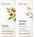 Cistus & Wintergreen Essential Oil Set - Aromatherapy Grade Essential Oils Set