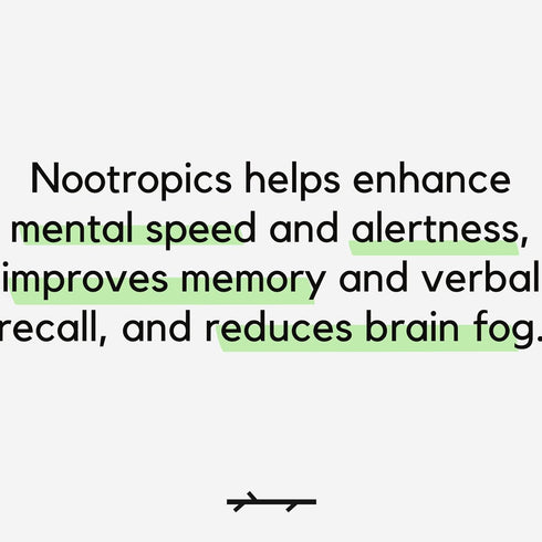 PALO FOCUS Brain Booster Natural Supplement - 60 Capsules for Memory, Focus, Learning, Attention