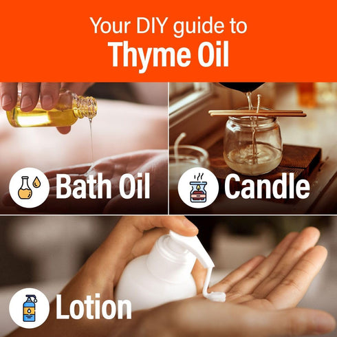 H’ana Thyme Essential Oil - 100% Pure Natural Thyme Oil for Hair, Skin, Diffuser - Fresh Herbaceous Scent (1 Fl Oz)