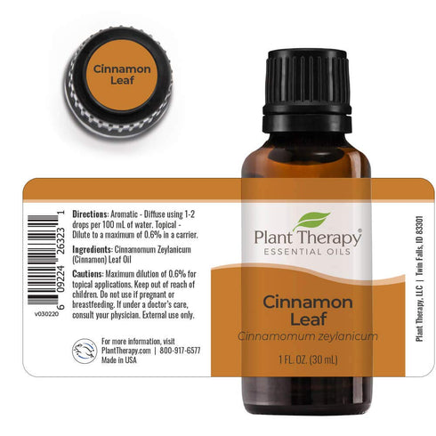 Plant Therapy Cinnamon Leaf Essential Oil 30 mL (1 oz) 100% Pure, Undiluted, Therapeutic Grade