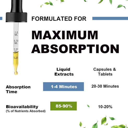 Magnesium Glycinate Liquid Drop, Triple Absorption Supplement, Sugar-Free, with Potassium, 1 Pack