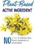 Boiron Hypericum Perforatum 30C - 80 Pellets, Homeopathic Nerve Pain Medicine