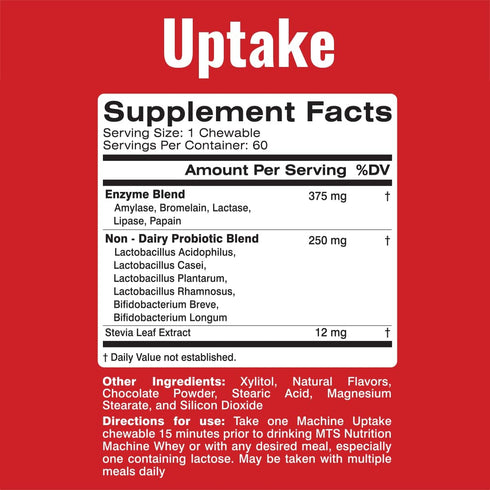 Machine Uptake Probiotic, Chocolate Wafer for Amazing Digestive Health Supplement