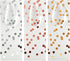 Set Pack 12-13.8x5x4 3 Sparkle and Bash Wine Gift Bags - Polka Dot Foil Style & Assorted Wine Bags for Gifts - Complete