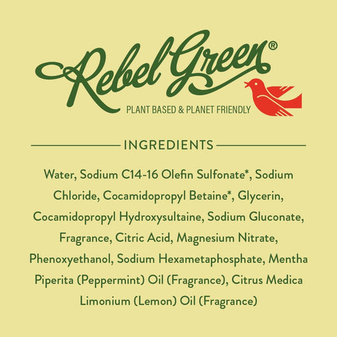 Rebel Green Super Deluxe Dish Soap - Natural Liquid Dish Detergent Scented with Peppermint & Lemon (16 oz, 1 Pack)