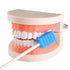Disposable Oral Swabs, Sterile Dental Sponge Swabsticks, Unflavored for Mouth & Gum Cleaning, 100 Count.