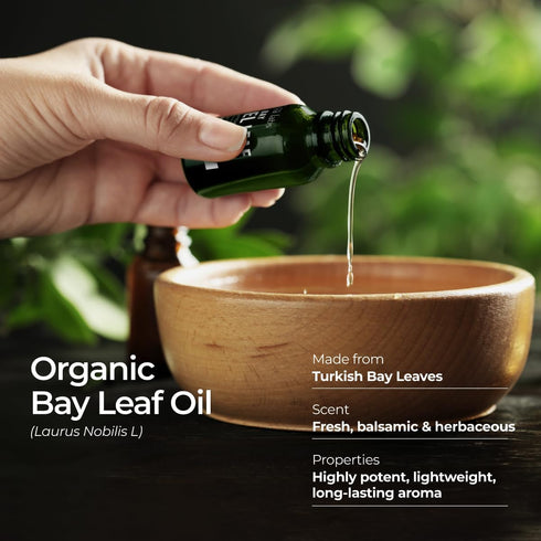 Gya Labs USDA Certified Organic Bay Leaf Essential Oil for Diffuser - 100% Pure Natural Aroma (0.34 Fl Oz)