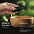 Gya Labs USDA Certified Organic Bay Leaf Essential Oil for Diffuser - 100% Pure Natural Aroma (0.34 Fl Oz)