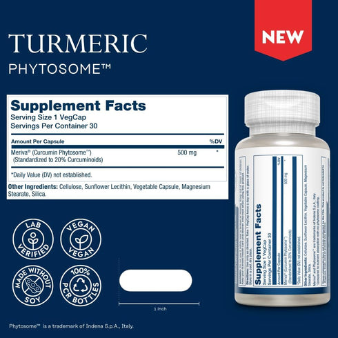 SOLARAY Turmeric Phytosome 500 mg - 29X Absorption Curcumin Supplement for Joint Support, 30 Servings