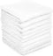 Dupray Washable Microfiber Cloths, Accessories Pack of 10