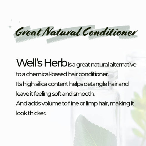 Well's Herb Dried Horsetail | 0.5 oz. | 100% Natural Herbal Ingredient for DIY Beauty Essential