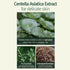 Pyunkang Yul Calming Moisture Serum - Strong Daily Moisturizing with Centella Asiatica and 5 Hyaluronic Acids