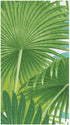 Packs 15 Caspari Palm Fronds Paper Guest Towel Napkins in White - Two