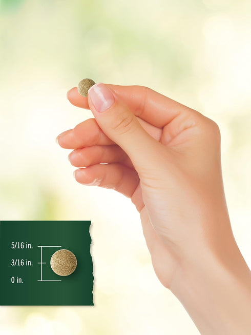Carlyle Ginkgo Biloba | 3000mg Per Serving | 200 Tablets | Extra Strength, Vegetarian, Non-GMO & Gluten Free