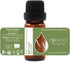 Essences Bulgaria Organic Bay Leaf Essential Oil - 1/3 Fl Oz | 10ml | 100% Pure and Natural, Therapeutic Grade