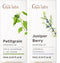 Petitgrain Essential Oil for Skin & Juniper Essential Oil for Skin Set