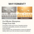 mixsoon Bean Essence, Vegansnail, Exfoliating Essence for Face, Hydrating Korean Skin Care, 1.69 fl.oz/50ml