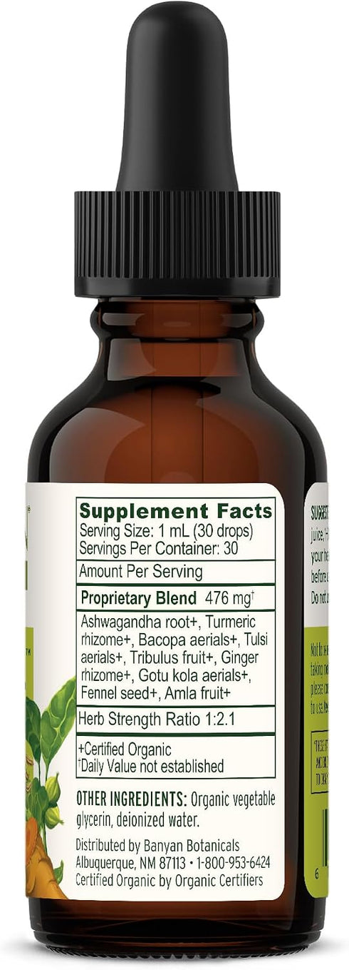 Immune 1 oz. Banyan Botanicals I Travel Well Liquid Extract Organic Fast-Acting Support for Travel with Ashwagandha