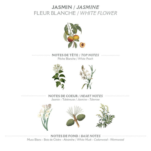 Panier des Sens Hand Cream for Dry Cracked Hands, Jasmine Hand Lotion with Olive & Almond Oil, 2.5 fl oz, Made in France