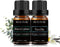 Eucalyptus and Vanilla Essential Oil Set 2 Pack, 100% Pure Diffuser Oil