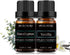 Eucalyptus and Vanilla Essential Oil Set 2 Pack, 100% Pure Diffuser Oil
