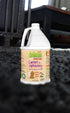 Earthworm Carpet & Upholstery Cleaner, 64 oz Multi-Use Stain & Odor Remover, Natural Enzymes, Family Safe