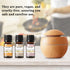 EUQEE 6pcs Premium Fragrance Oils Spice Gift Set - Sandalwood, Harvest Spice, Gingerbread, Pumpkin Pie, 10 ML