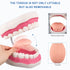 Tooth Brushing Model, 6 Time Tongue Teeth Model for Speech Therapy and Kids Dental Care Teaching Demonstration