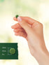 Carlyle Chlorella Blue Green Algae 250mg - 200 Vegetarian Non-GMO Gluten Free Tablets