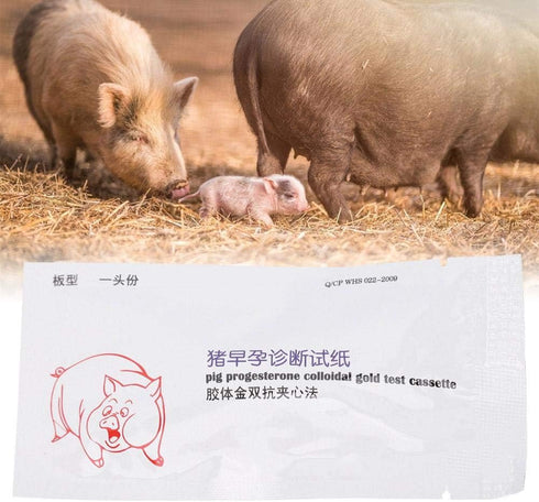 Sow Pregnancy Test Strips for Accurate Pig Pregnancy Diagnosis
